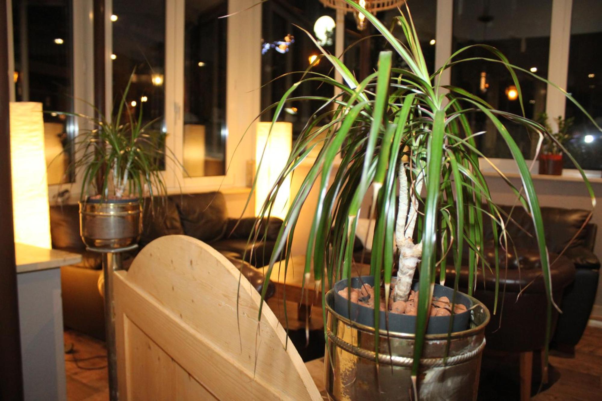 Grichting Hotel & Serviced Apartments Leukerbad Esterno foto